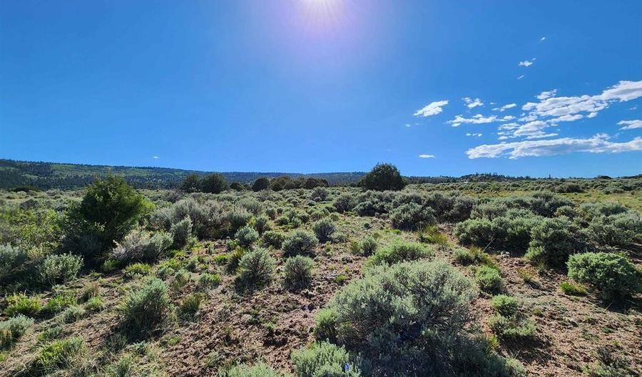 Lot 10 Conejos River Trails, Antonito, CO 81120 - 0 Beds, 0 Bath