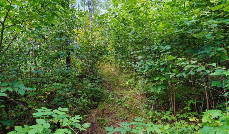 Double Bend Road, Argonne, WI 54511 - 0 Beds, 0 Bath