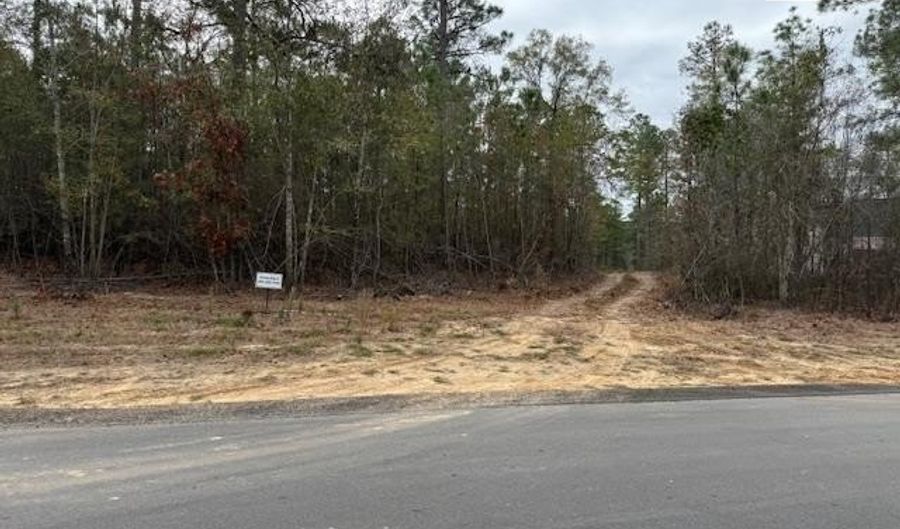 Lot 71 Phase 2 Anderson Farms, Aiken, SC 29803 - 0 Beds, 0 Bath