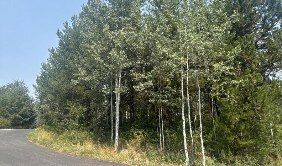 445 ASPEN RIDGE Trl, Alpine, WY 83128 - 4 Beds, 3 Bath