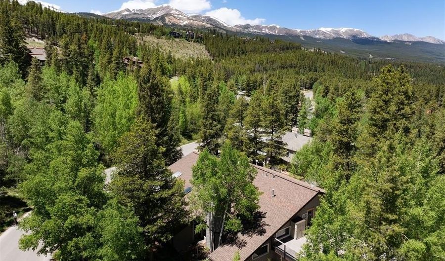 87 Flintstone Ln, Breckenridge, CO 80424 - 2 Beds, 2 Bath