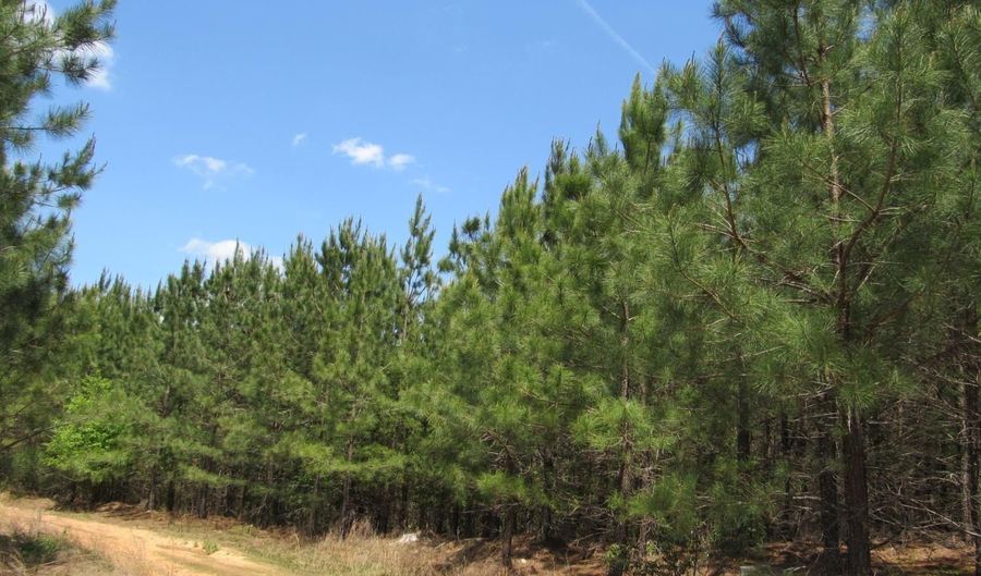 63 Sugar Hill Tunnel Rd, Amherst, VA 24521 - 0 Beds, 0 Bath