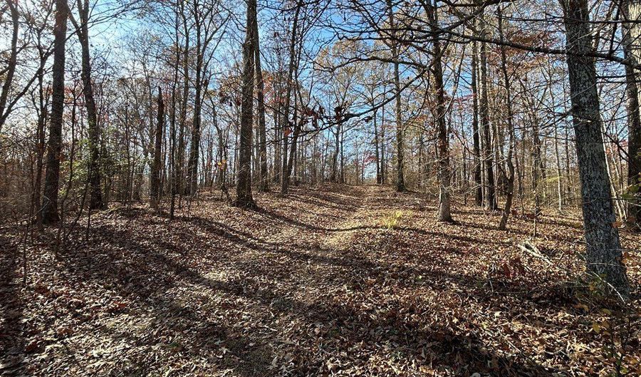 OFF OF SULPHUR CREEK RD, Big Sandy, TN 38221 - 0 Beds, 0 Bath