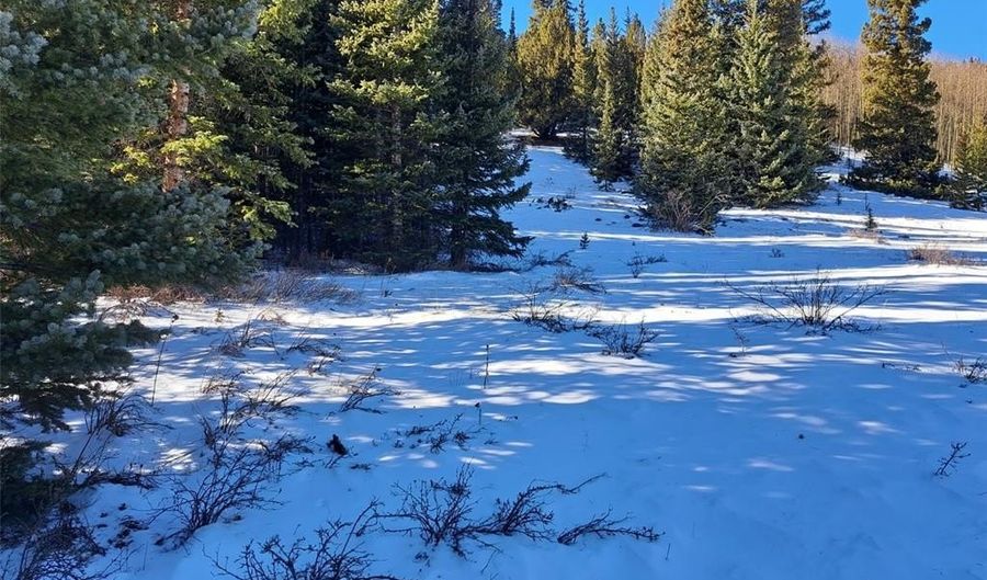 3553 RIVER Dr, Alma, CO 80420 - 0 Beds, 0 Bath