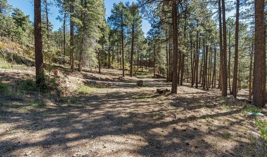 138 Green Ridge Dr, Bayfield, CO 81122 - 0 Beds, 0 Bath