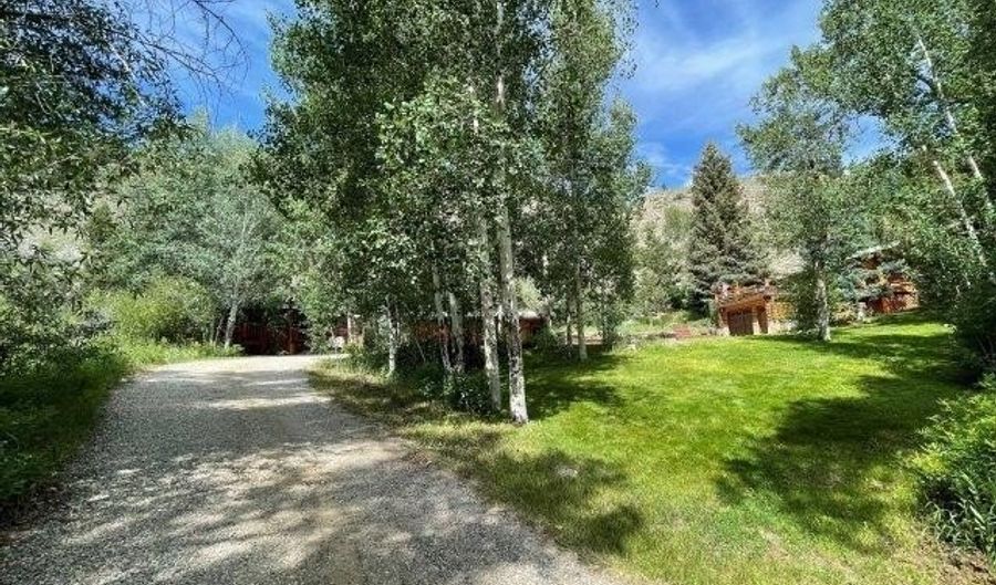 209 Deer Path Ln Lot 9, Almont, CO 81230 - 3 Beds, 3 Bath