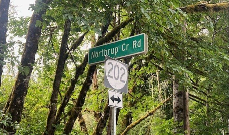Northrup Creek RD, Birkenfeld, OR 97016 - 0 Beds, 0 Bath