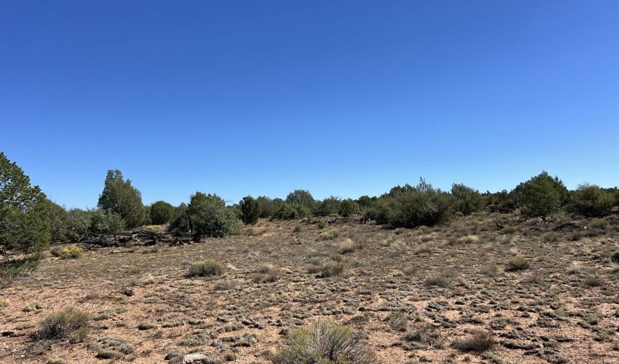 9 A Off Ranch Rd, Ash Fork, AZ 86320 - 0 Beds, 0 Bath