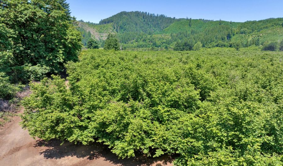 0 Alsea Hwy, Alsea, OR 97324 - 0 Beds, 0 Bath