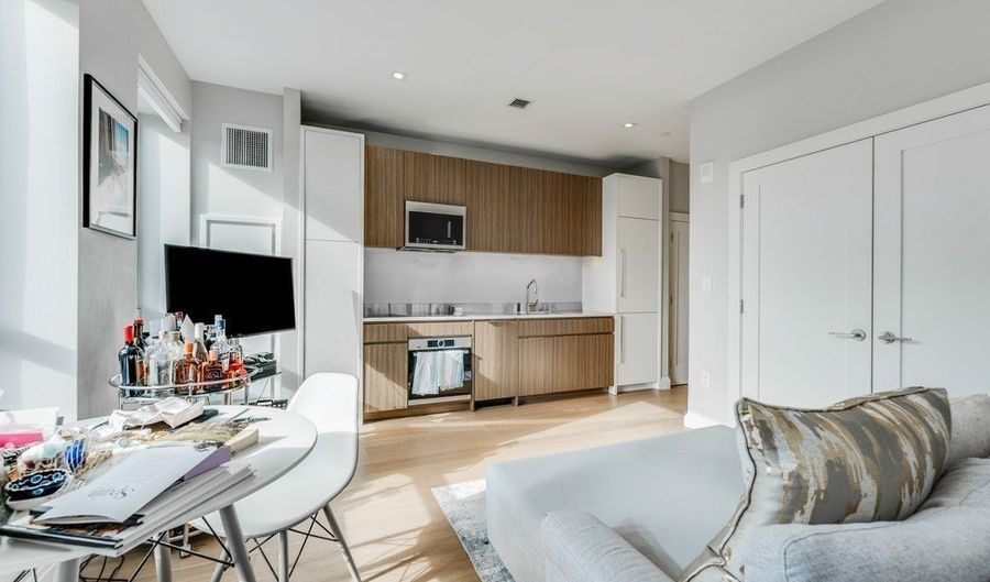 100 Shawmut 411, Boston, MA 02118 - 1 Beds, 1 Bath