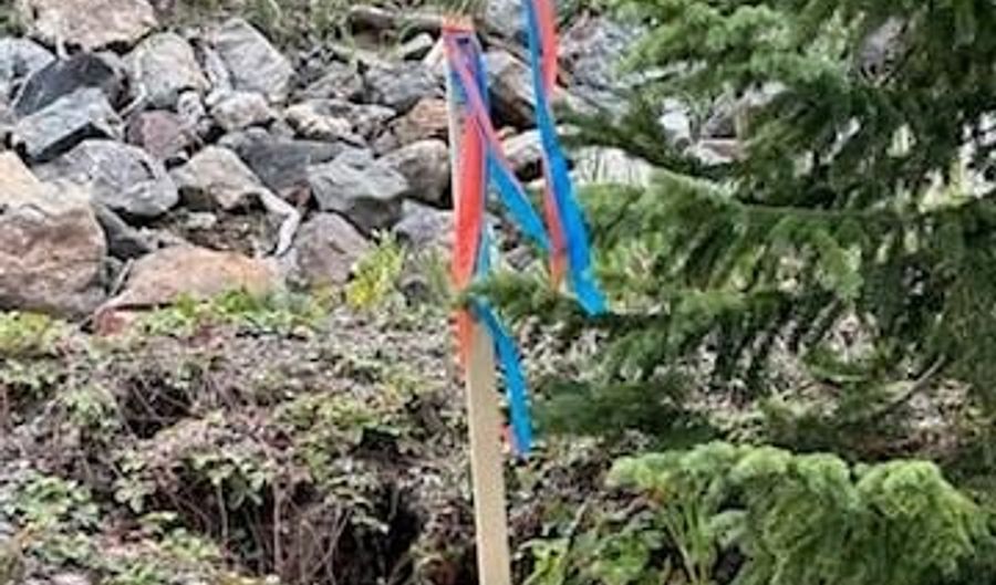 355 Quandary View Dr Lot 12, Breckenridge, CO 80424 - 0 Beds, 0 Bath