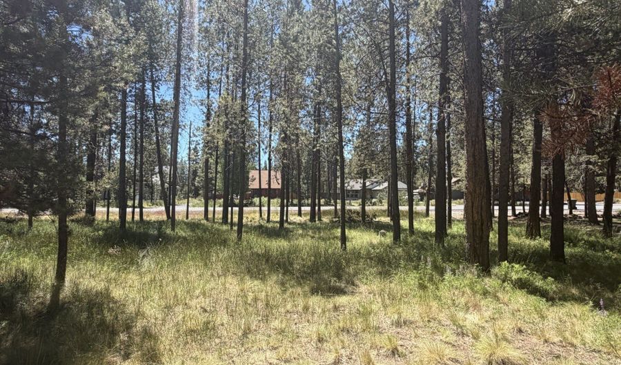 17386 GOLDEN EYE Dr, Bend, OR 97707 - 0 Beds, 0 Bath