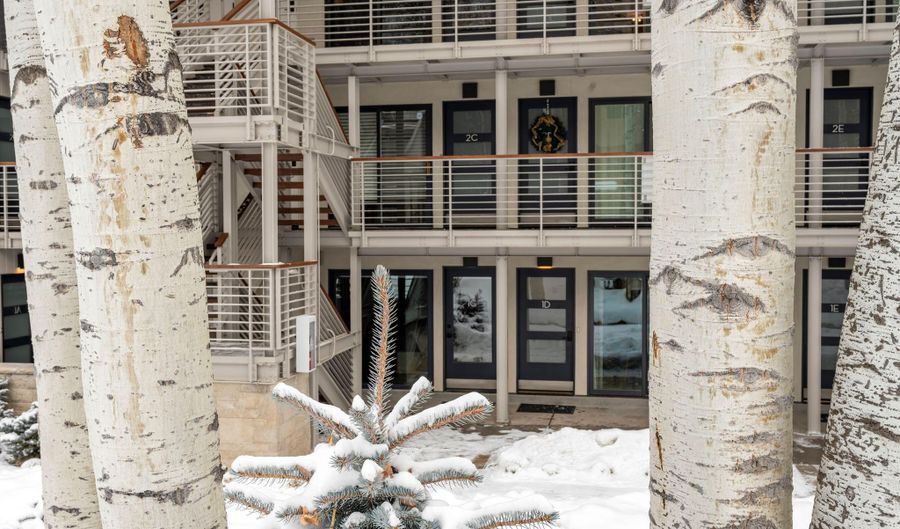 100 E DEAN St 1D, Aspen, CO 81611 - 2 Beds, 2 Bath