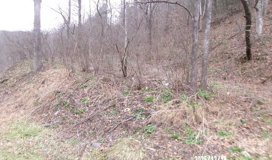 3675 Anawalt Ridge Rd, Anawalt, WV 24808 - 0 Beds, 0 Bath
