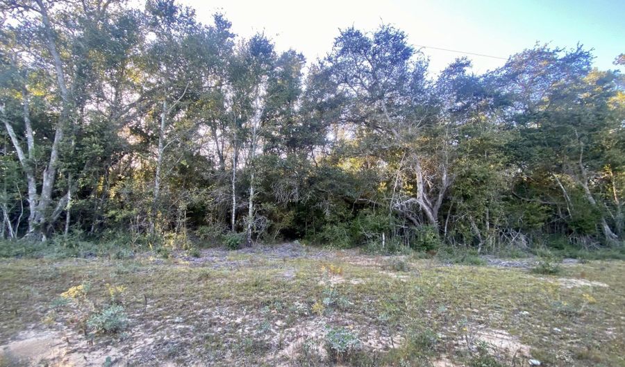 Coronado Avenue lot 2, Alford, FL 32420 - 0 Beds, 0 Bath