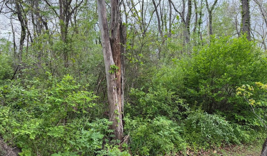 Alta Dr, Alderson, WV 24910 - 0 Beds, 0 Bath