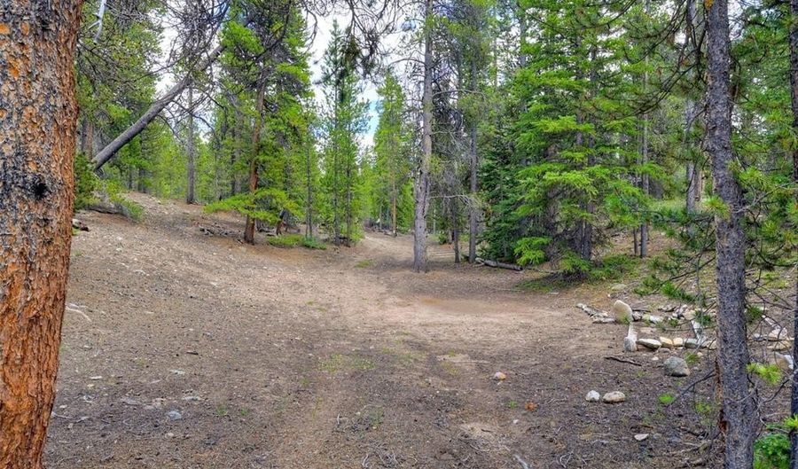 2221 KOOTCHIE KOOTCHIE Rd, Alma, CO 80420 - 0 Beds, 0 Bath