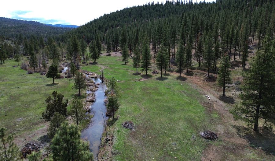 Roney Flat Road, Adin, CA 96006 - 0 Beds, 0 Bath