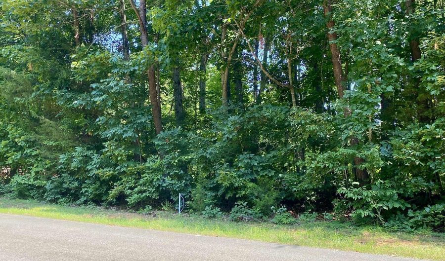 Lot 969 Iron Gate Drive, Baneberry, TN 37890 - 0 Beds, 0 Bath