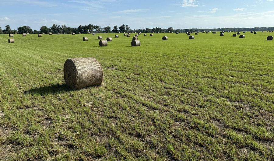 72 Nw Pl, Bell, FL 32619 - 0 Beds, 0 Bath