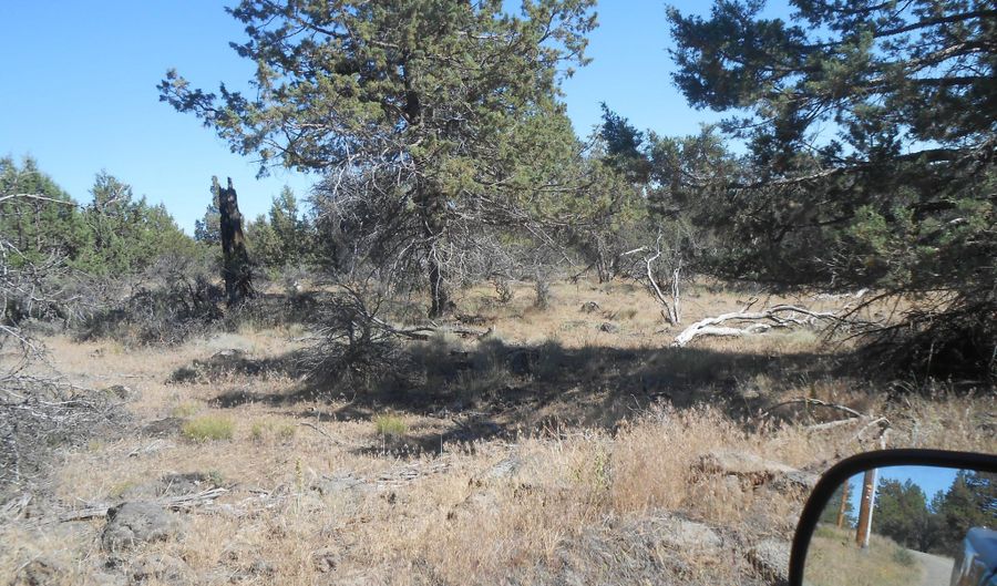 Ground Squirrel Drive, Bonanza, OR 97623 - 0 Beds, 0 Bath
