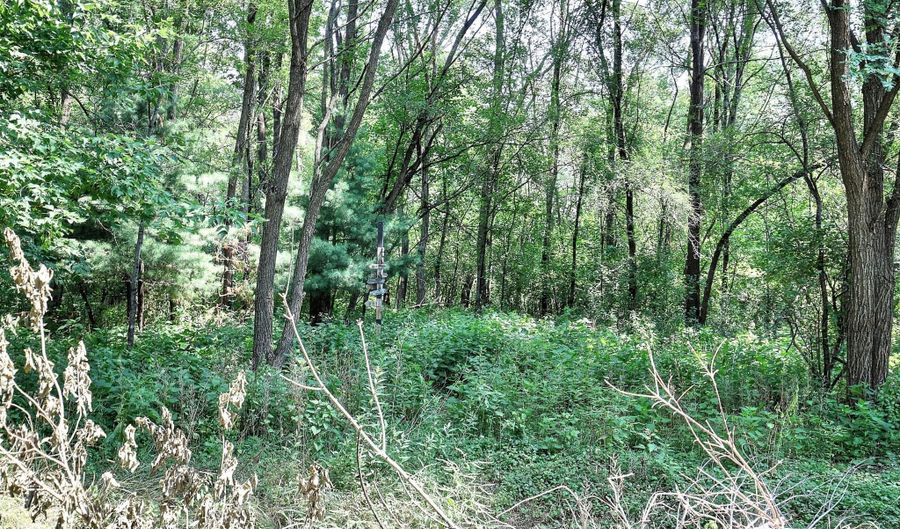 13513 Crooked Lake Blvd NW, Andover, MN 55304 - 2 Beds, 2 Bath