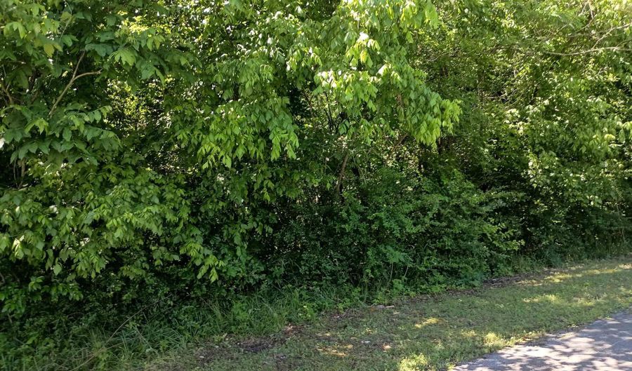 405 Hammond Ave, Attalla, AL 35954 - 0 Beds, 0 Bath