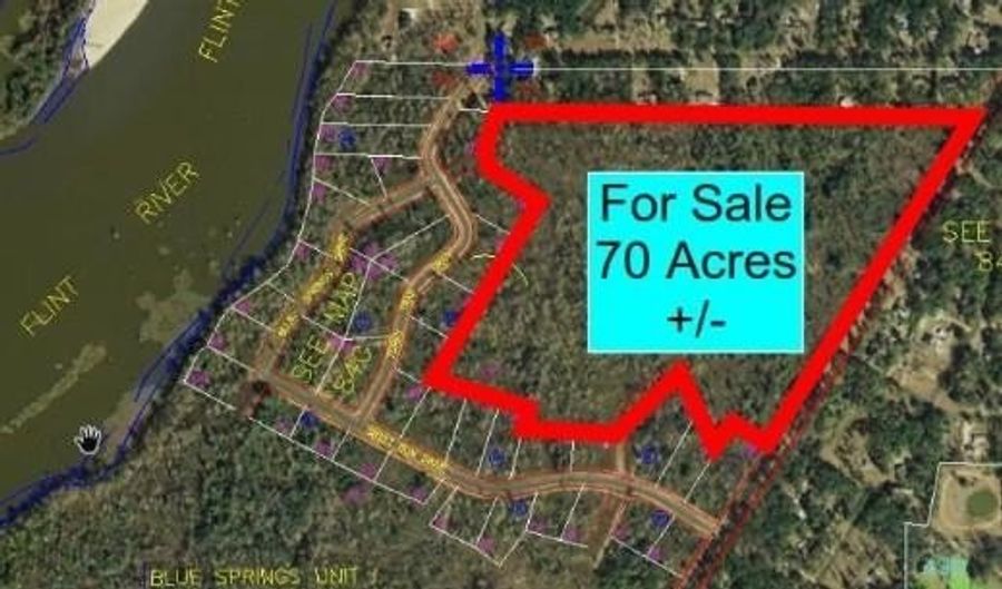 1410 Faceville Hwy, Bainbridge, GA 39819 - 0 Beds, 0 Bath