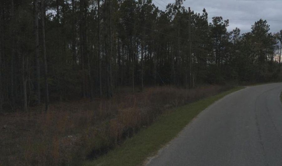 0 Dike Rd, Bonneau, SC 29431 - 0 Beds, 0 Bath