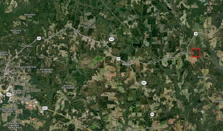 154 County Road 38 Acres, Banks, AL 36005 - 0 Beds, 0 Bath