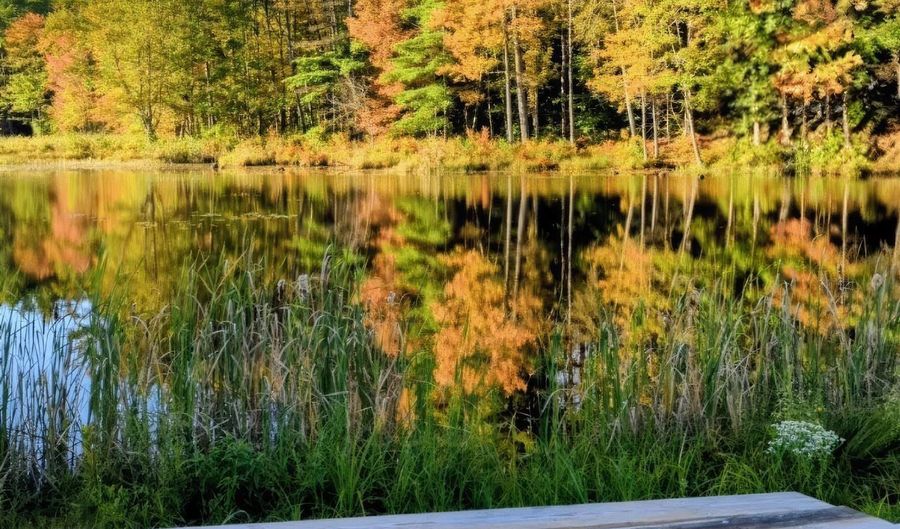 7-9 Robin Shore Dr, Canterbury, NH 03224 - 0 Beds, 0 Bath