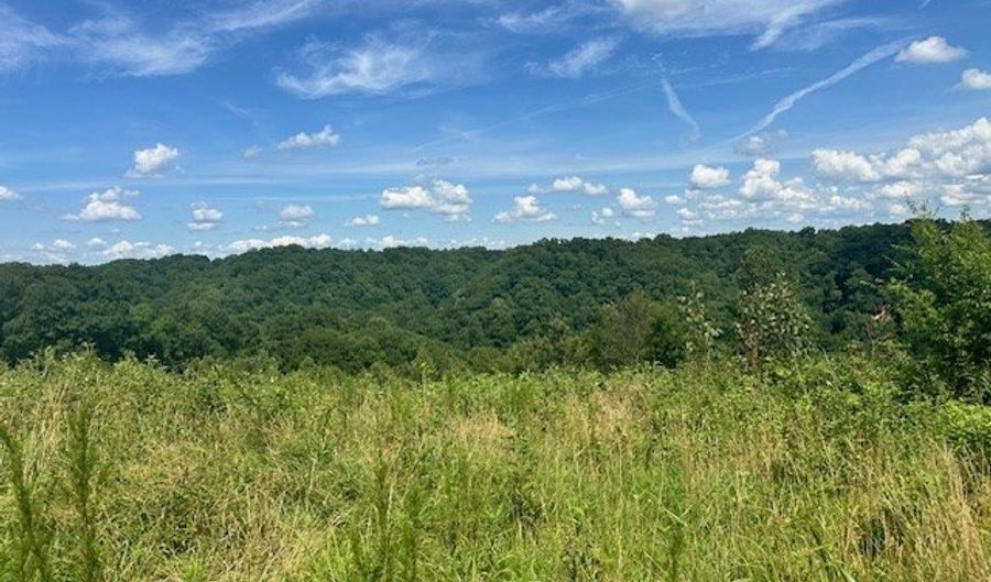 Lot 13 NE HO Allison, Baxter, TN 38506 - 0 Beds, 0 Bath