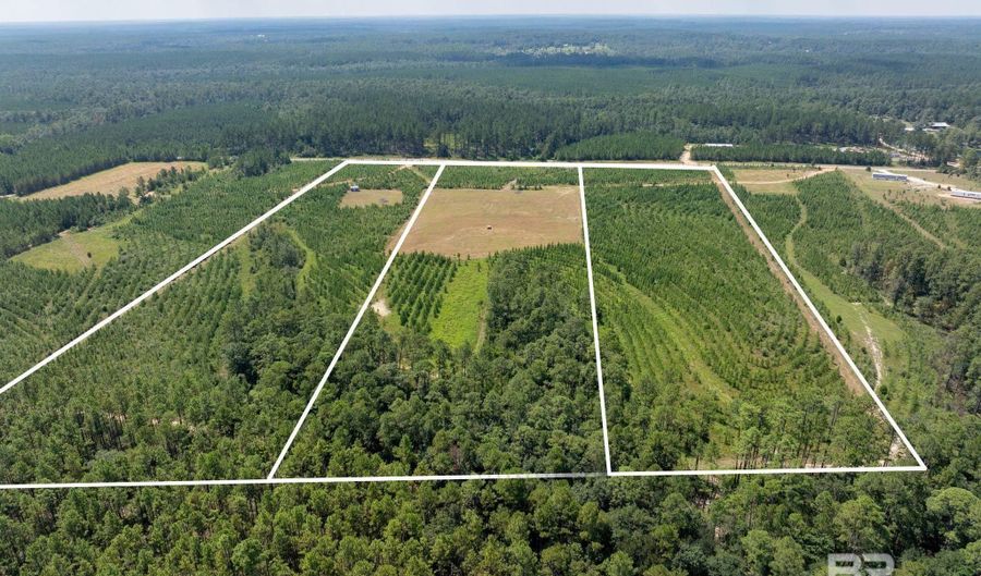 0 Horseneck Rd, Bay Minette, AL 36507 - 0 Beds, 0 Bath