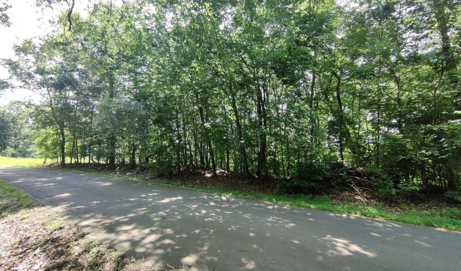 3347 Mountain View Ln, Baneberry, TN 37890 - 0 Beds, 0 Bath