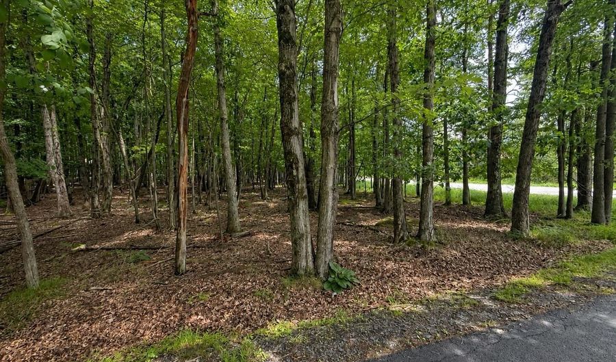 Tower Rd Lot 401, Albrightsville, PA 18210 - 0 Beds, 0 Bath