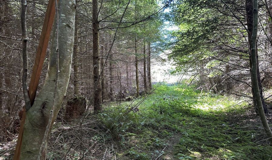 Glenn Creek Rd 300, Allegany, OR 97407 - 0 Beds, 0 Bath
