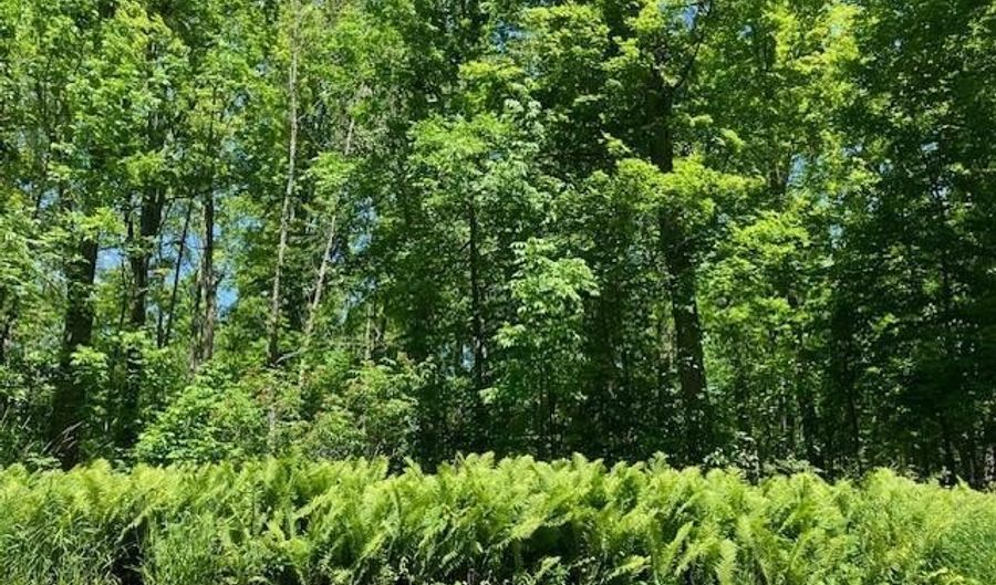 TBD MAPLE ISLE COURT UNIT 32 33 & AMP 34, Alanson, MI 49706 - 0 Beds, 0 Bath