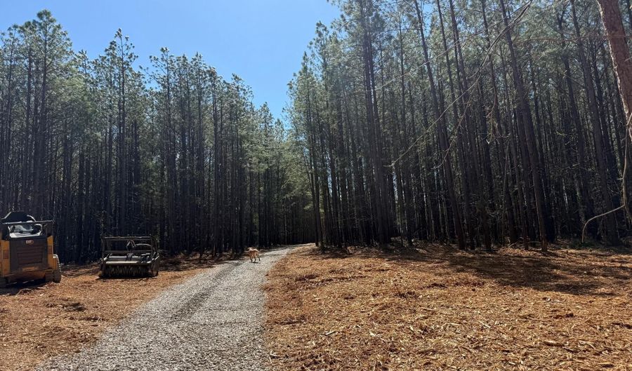 MOUNTAIN CUT RD lot D, Appomattox, VA 24522 - 0 Beds, 0 Bath