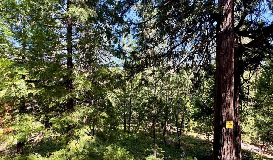 1647 Gertrude Way, Arnold, CA 95223 - 0 Beds, 0 Bath