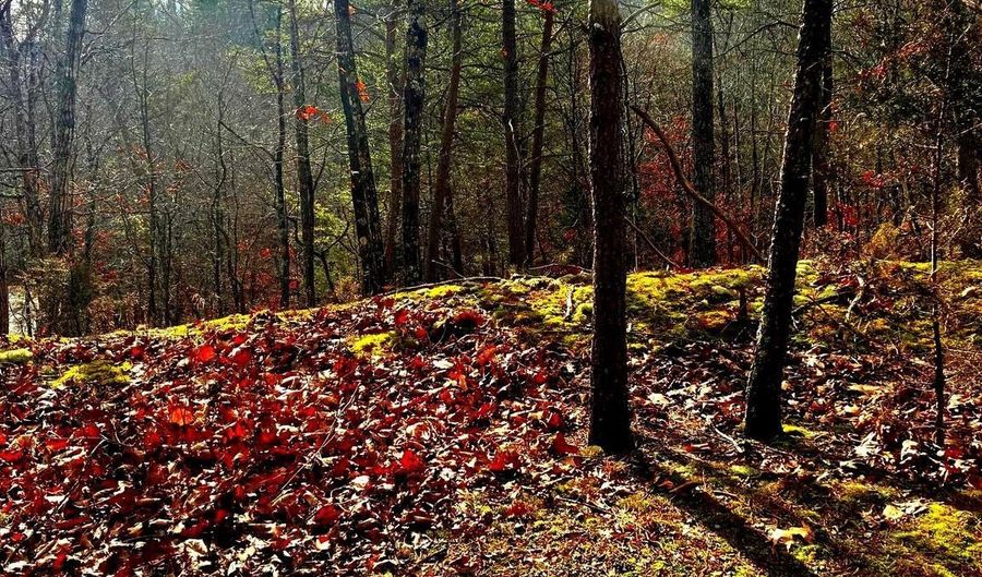 KING Street, Basye, VA 22810 - 0 Beds, 0 Bath