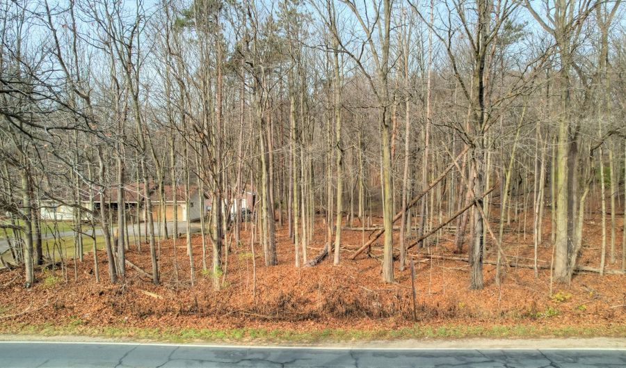 3615 Allegan Dam Road Lot B, Allegan, MI 49010 - 0 Beds, 0 Bath