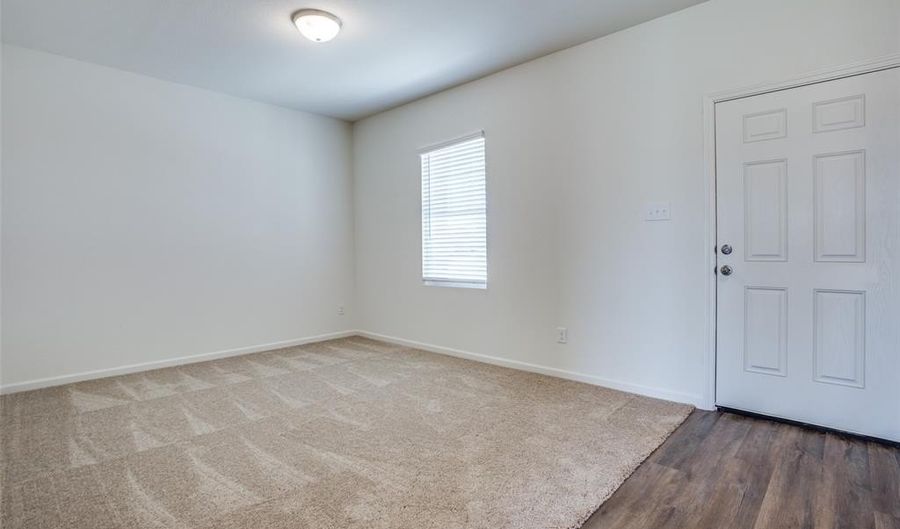 209 Briar Cv, Anna, TX 75409 - 4 Beds, 3 Bath