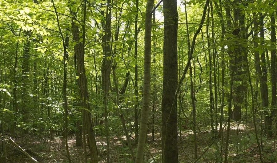 Christina Way, Burrillville, RI 02896 - 0 Beds, 0 Bath