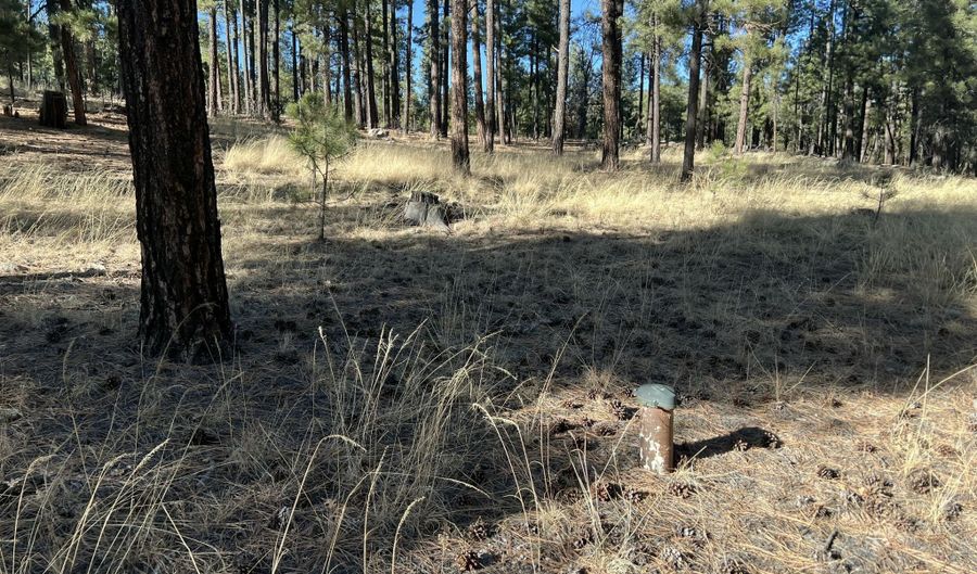 County Road N2147 lot C, Alpine, AZ 85920 - 0 Beds, 0 Bath