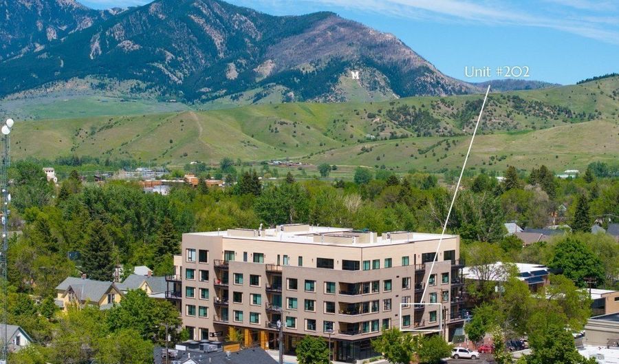 116 N Bozeman Ave 202, Bozeman, MT 59715 - 2 Beds, 3 Bath