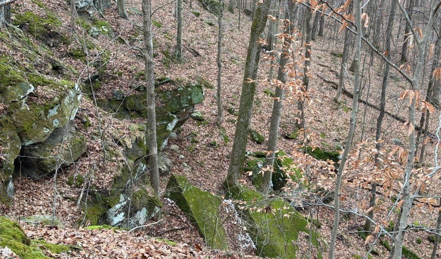 TBD1 E Willow Rd, Bloomfield, IN 47424 - 0 Beds, 0 Bath