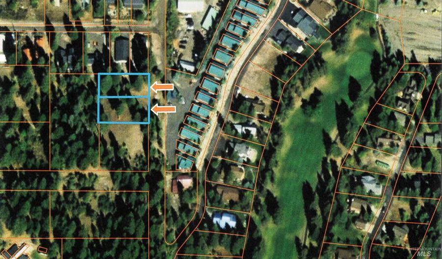 Tbd Lot 1 Clements, McCall, ID 83638 - 0 Beds, 0 Bath