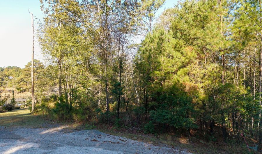 LOT 23 BEAR BRANCH COVE, Arley, AL 35541 - 0 Beds, 0 Bath