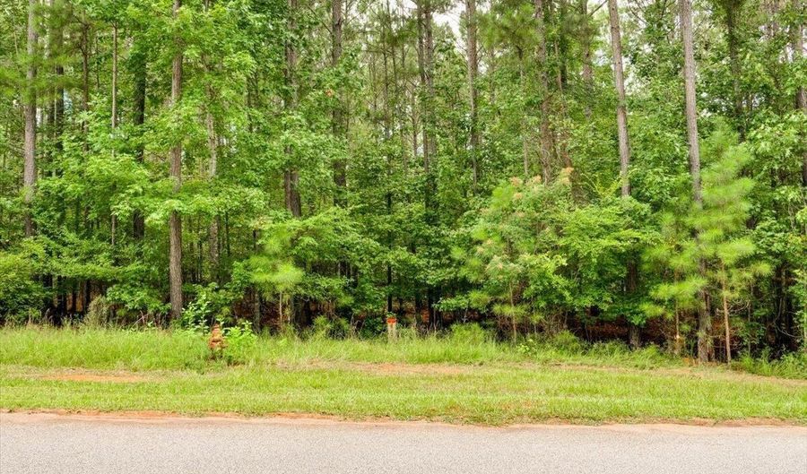 Lot 58 Lighthouse Pointe, Lincolnton, GA 30817 - 0 Beds, 0 Bath