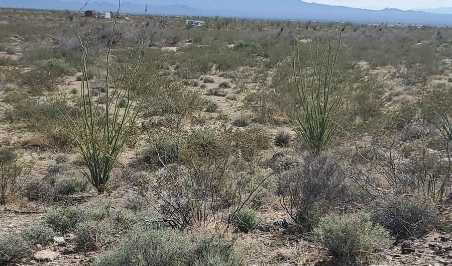 Lot 12 S Roll Rd, Yucca, AZ 86438 - 0 Beds, 0 Bath